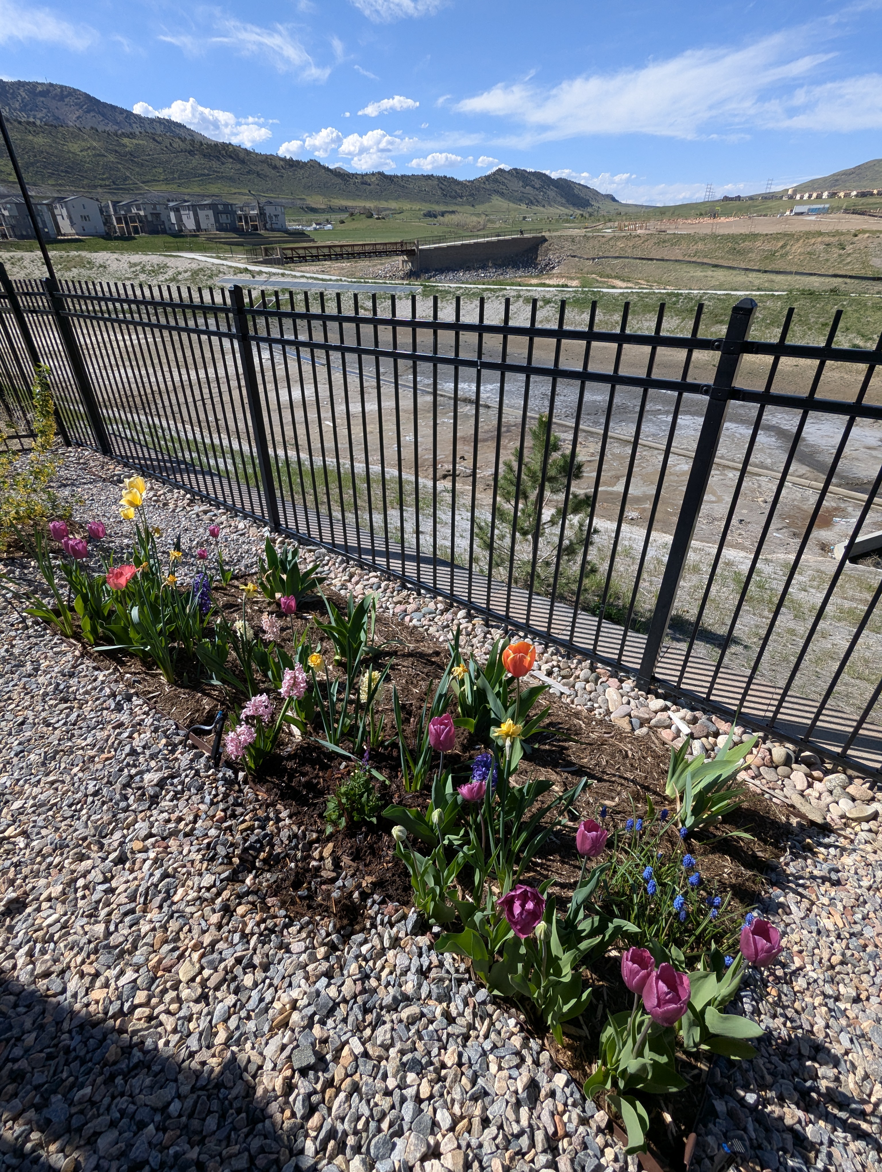 Garden, Flowers, Morrison, Colorado